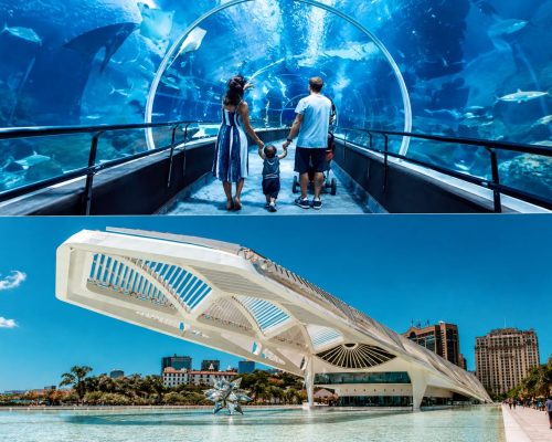 AquaRio e Museu do Amanhã