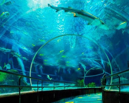 AquaRio - Visita guiada